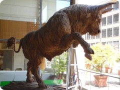 SAM_0011
