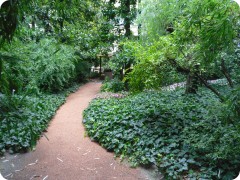 SAM_0016