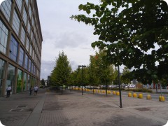 SAM_0018