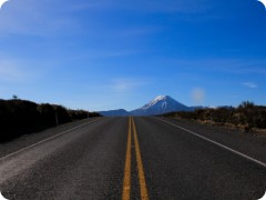 IMG_2445